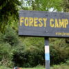 Kokar (Forest Camp), second overnight for Mardi Himal Trek