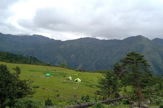 green landscape while trekking to Druk Path, Bhutan
