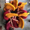 tibetan buddhist monks chiwong monastery