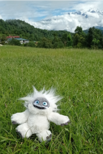 Yeti lying on the meadow at the Australian Camp